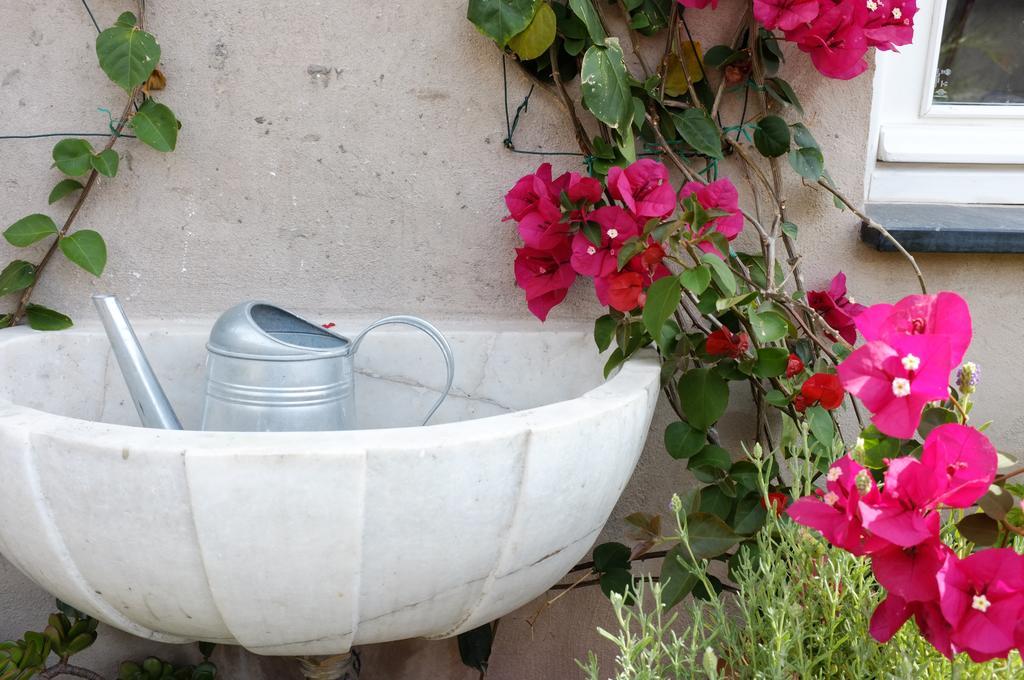 La Terrazza Di Vico Olivi B&B Ventimiglia Ngoại thất bức ảnh