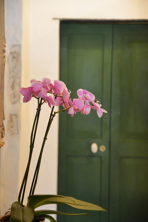 La Terrazza Di Vico Olivi B&B Ventimiglia Ngoại thất bức ảnh